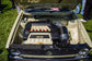 Eurowise MK1 Rabbit Stage 1 R32 / 24v / 3.2 VR6 motors